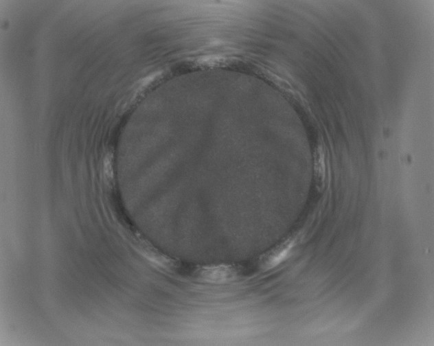 X0000076070127200610152237