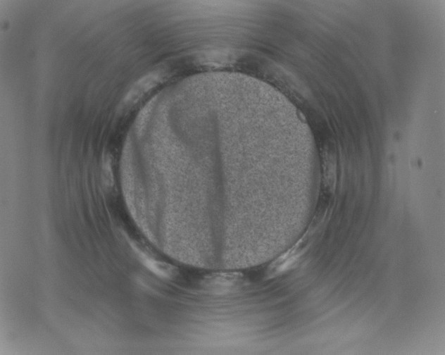 X0000076070128200610152237