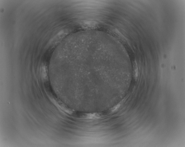 X0000076070130200610152237