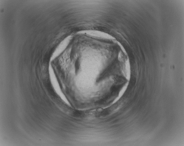 X0000076070131200610152237