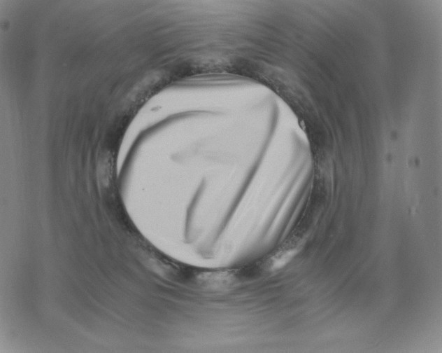 X0000076070133200610152237