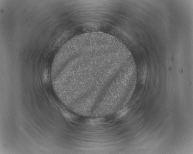 X0000076070134200610152237