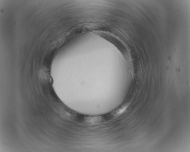 X0000076070135200610152237