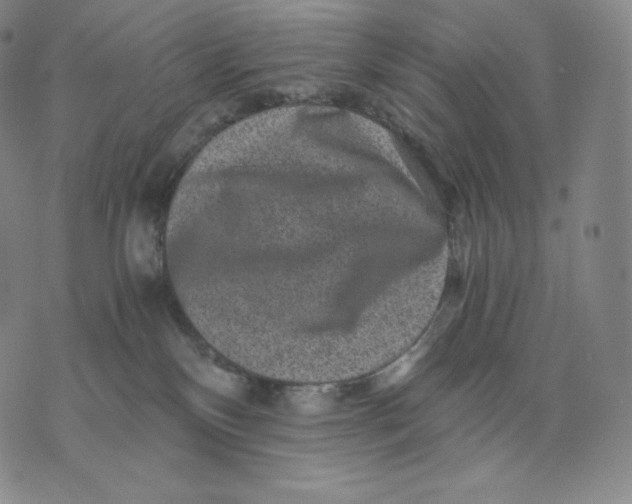 X0000076070136200610152237