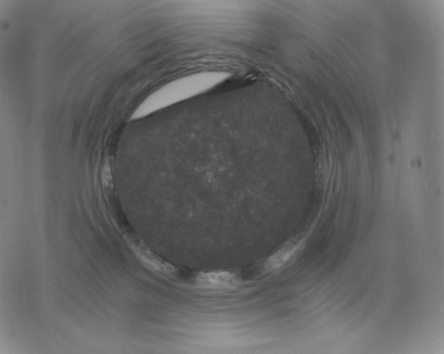 X0000076070137200610152237