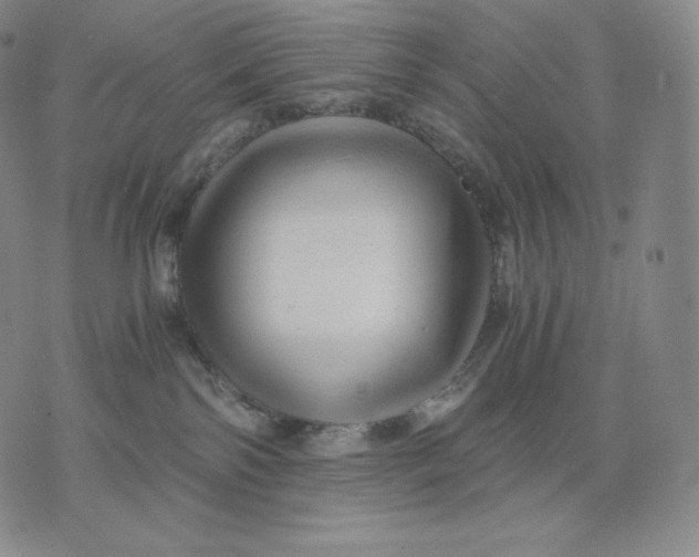 X0000076070138200610152237