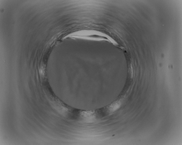 X0000076070139200610152237