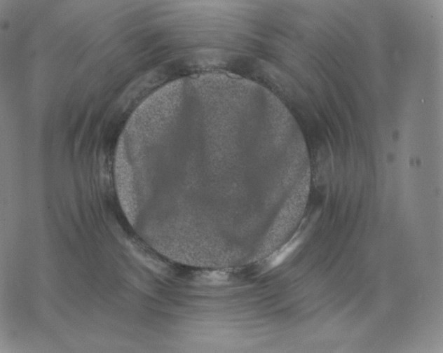 X0000076070140200610152237