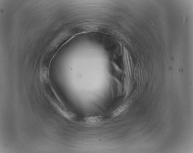 X0000076070141200610152237