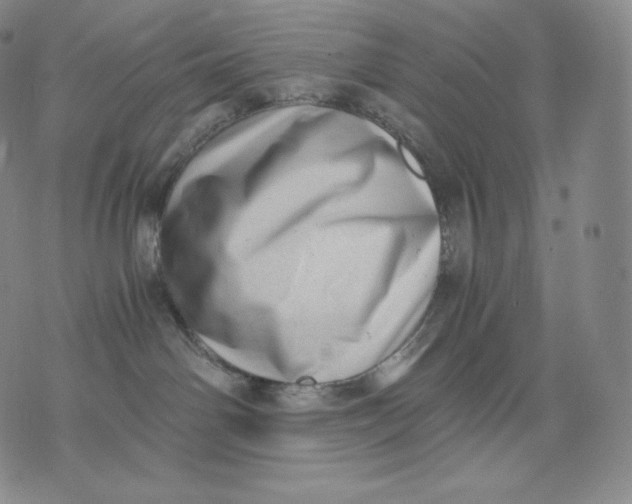 X0000076070142200610152237