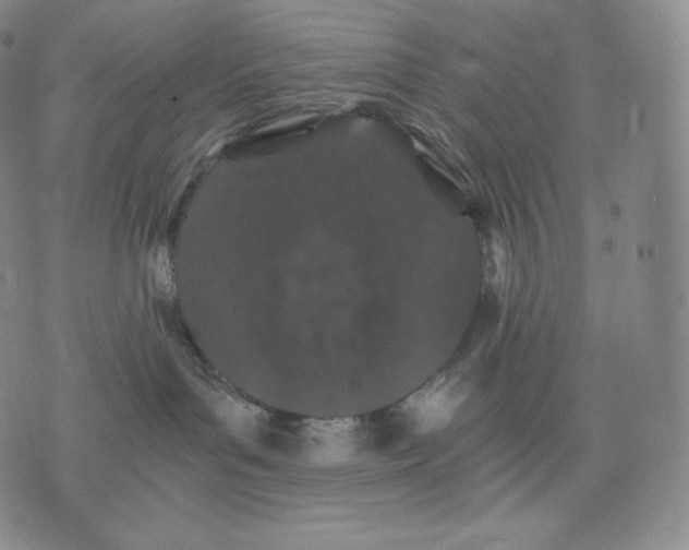 X0000076070143200610152237