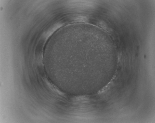 X0000076070146200610152236