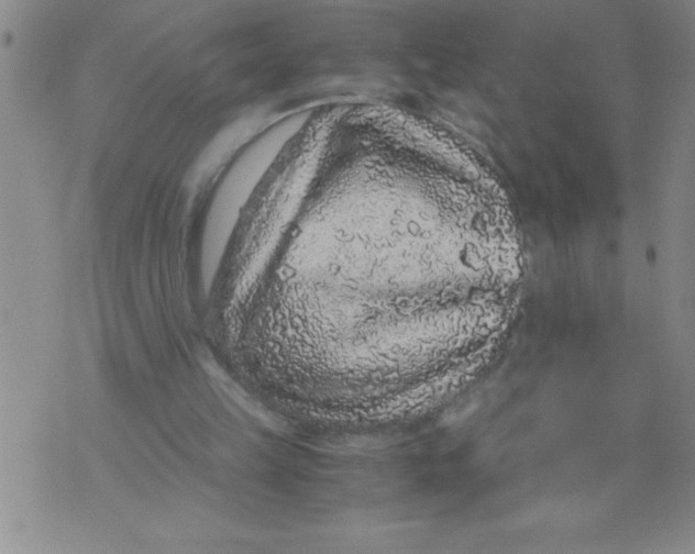 X0000076070149200610152236