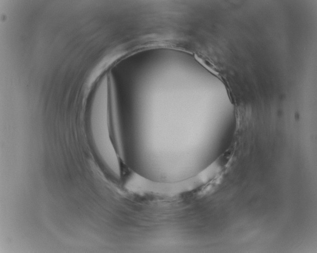 X0000076070150200610152236