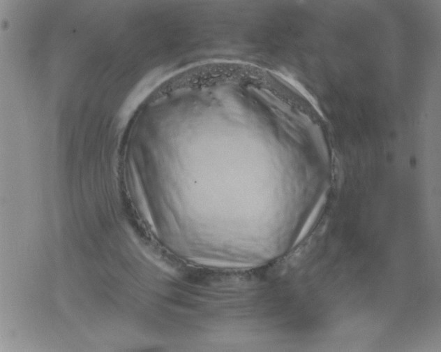 X0000076070151200610152236