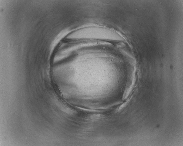 X0000076070152200610152236