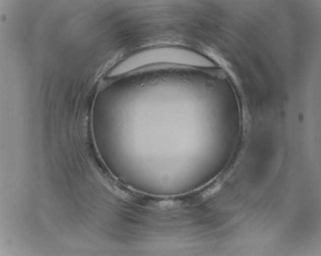 X0000076070153200610152236