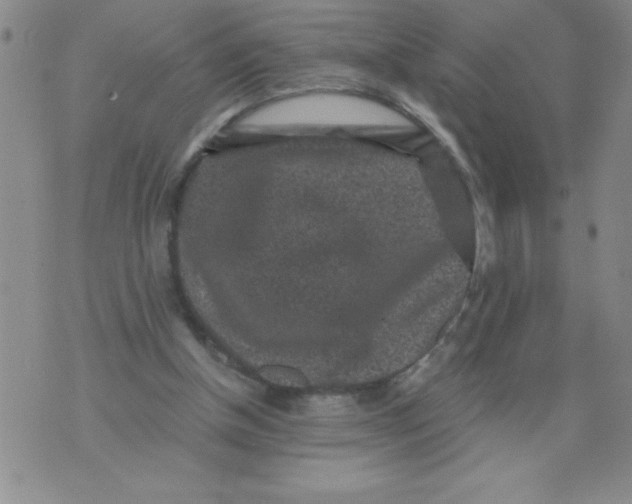 X0000076070154200610152236