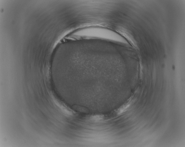 X0000076070156200610152236