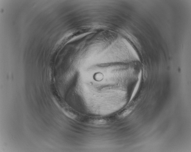 X0000076070157200610152236