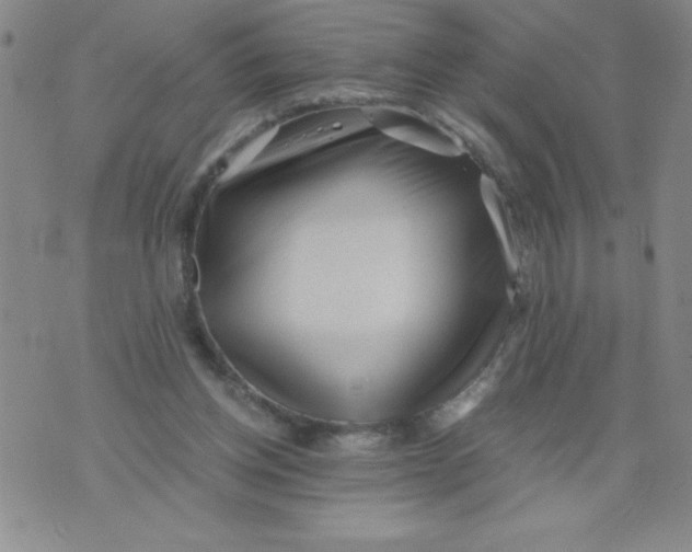 X0000076070158200610152236