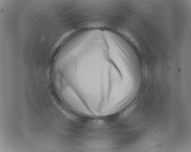 X0000076070159200610152236