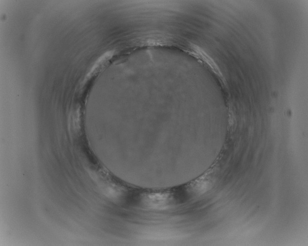 X0000076070163200610152236