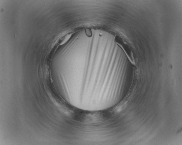 X0000076070164200610152236