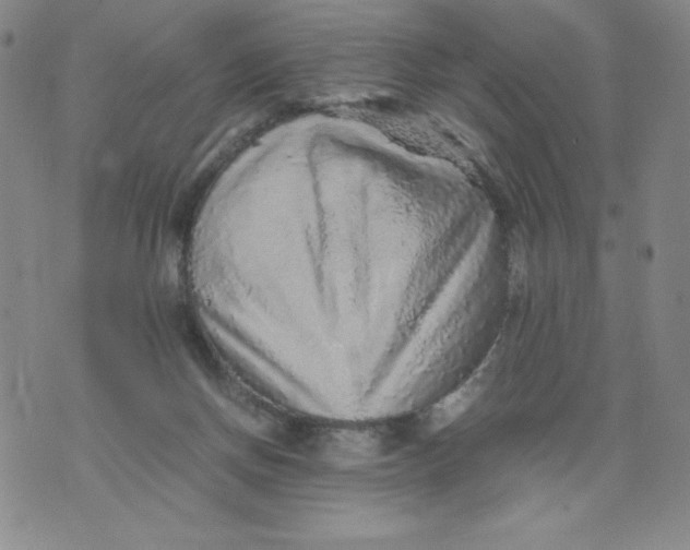 X0000076070166200610152236