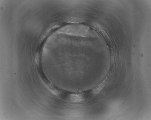 X0000076070167200610152236