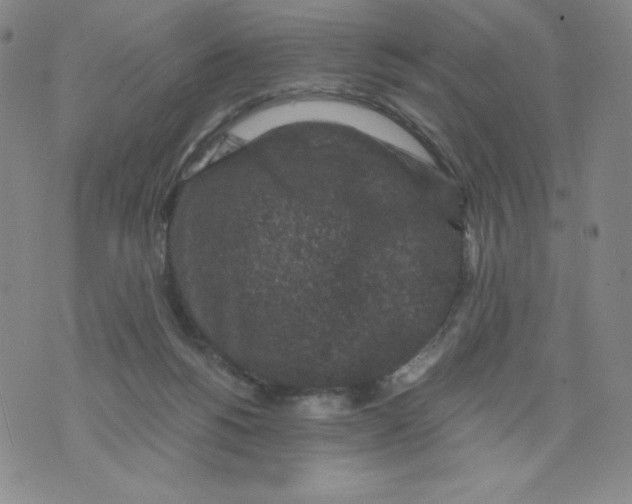 X0000076070168200610152236