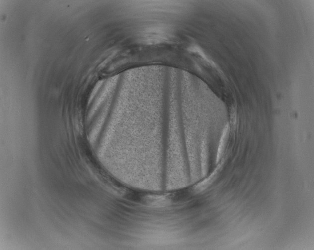 X0000076070170200610152236