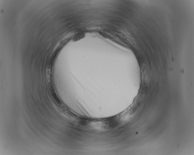 X0000076070171200610152237