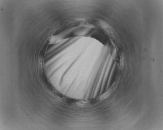 X0000076070172200610152237