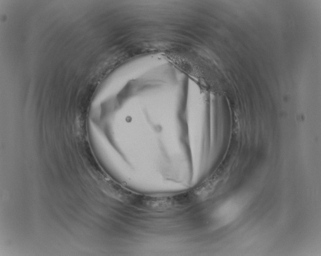 X0000076070173200610152237