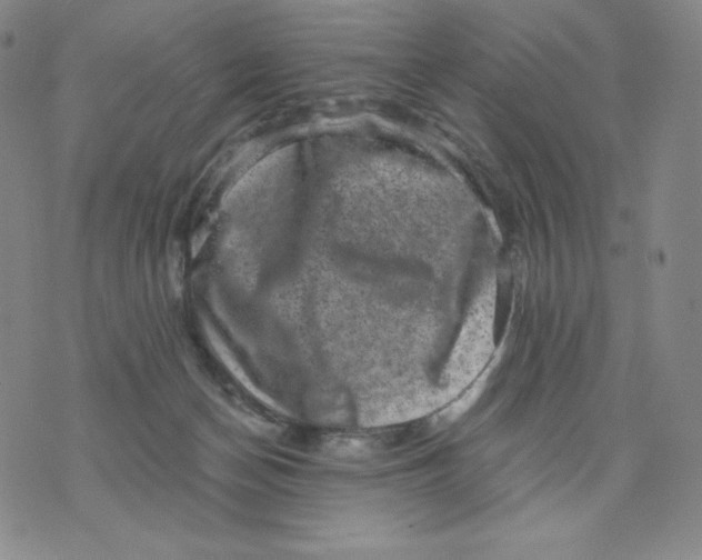 X0000076070174200610152237