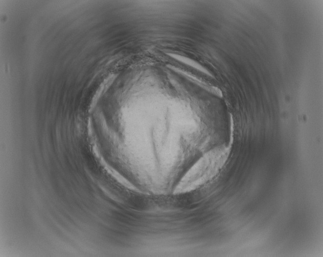 X0000076070175200610152237