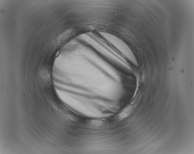 X0000076070176200610152237