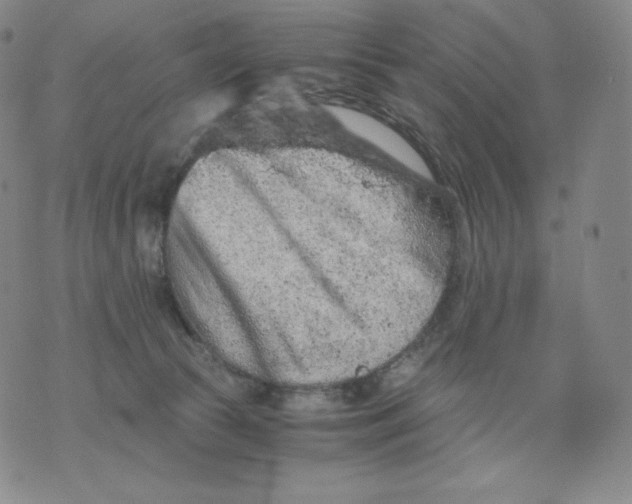 X0000076070177200610152237