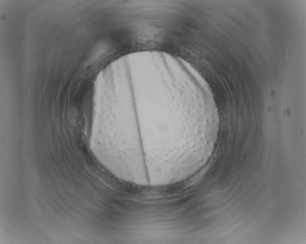 X0000076070178200610152237