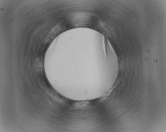 X0000076070179200610152237