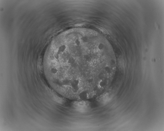 X0000076070181200610152237