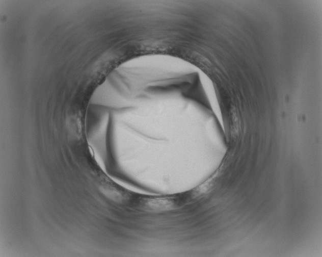 X0000076070183200610152237