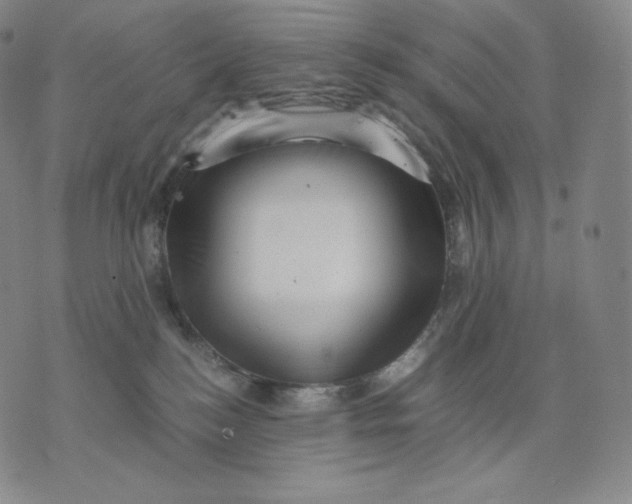 X0000076070184200610152237