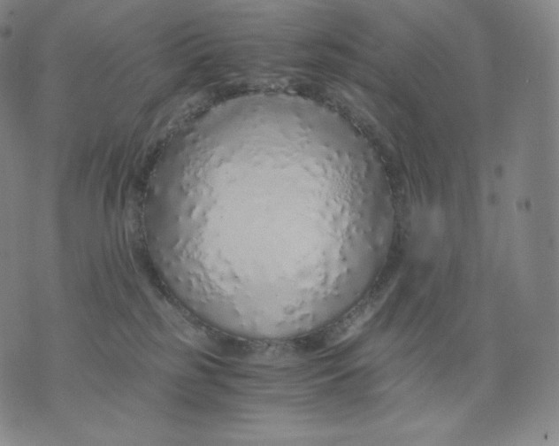 X0000076070185200610152237