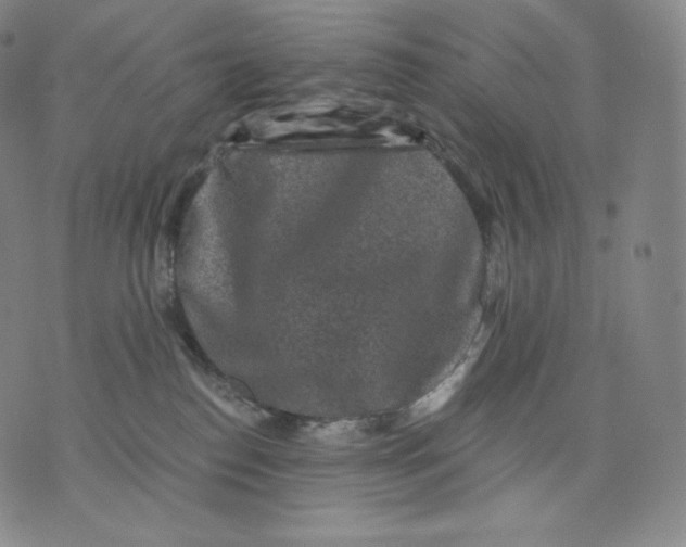 X0000076070186200610152237