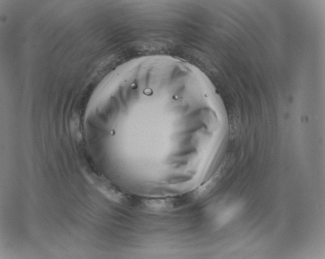 X0000076070187200610152237