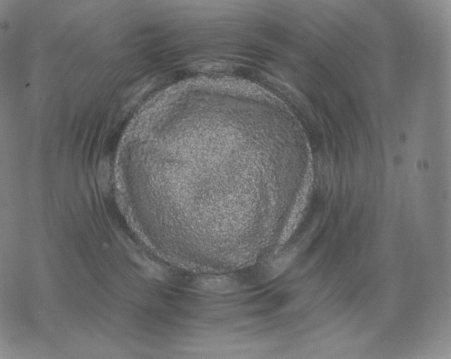 X0000076070189200610152237