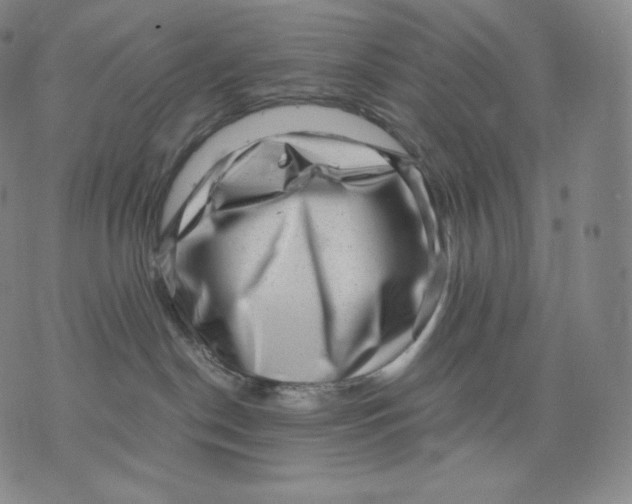 X0000076070190200610152237