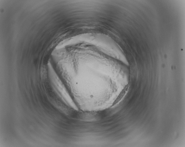 X0000076070191200610152237